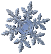 flocon-de-neige 35 liste